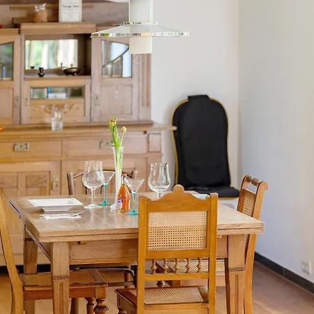 Loft Mit Whirpool Und Kamin * Lustenau