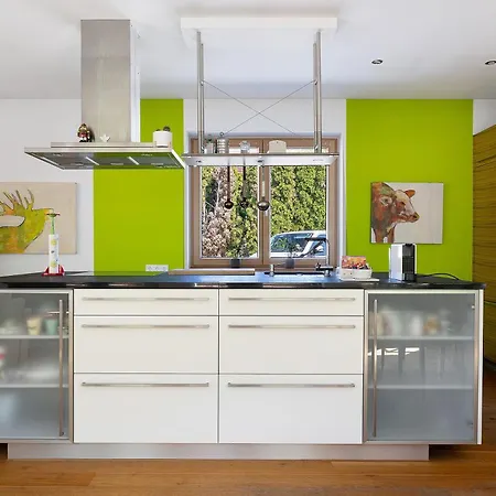 Loft Mit Whirpool Und Kamin * Lustenau