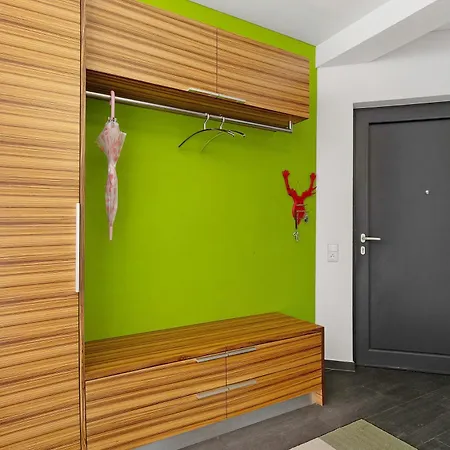 Loft Mit Whirpool Und Kamin * Lustenau